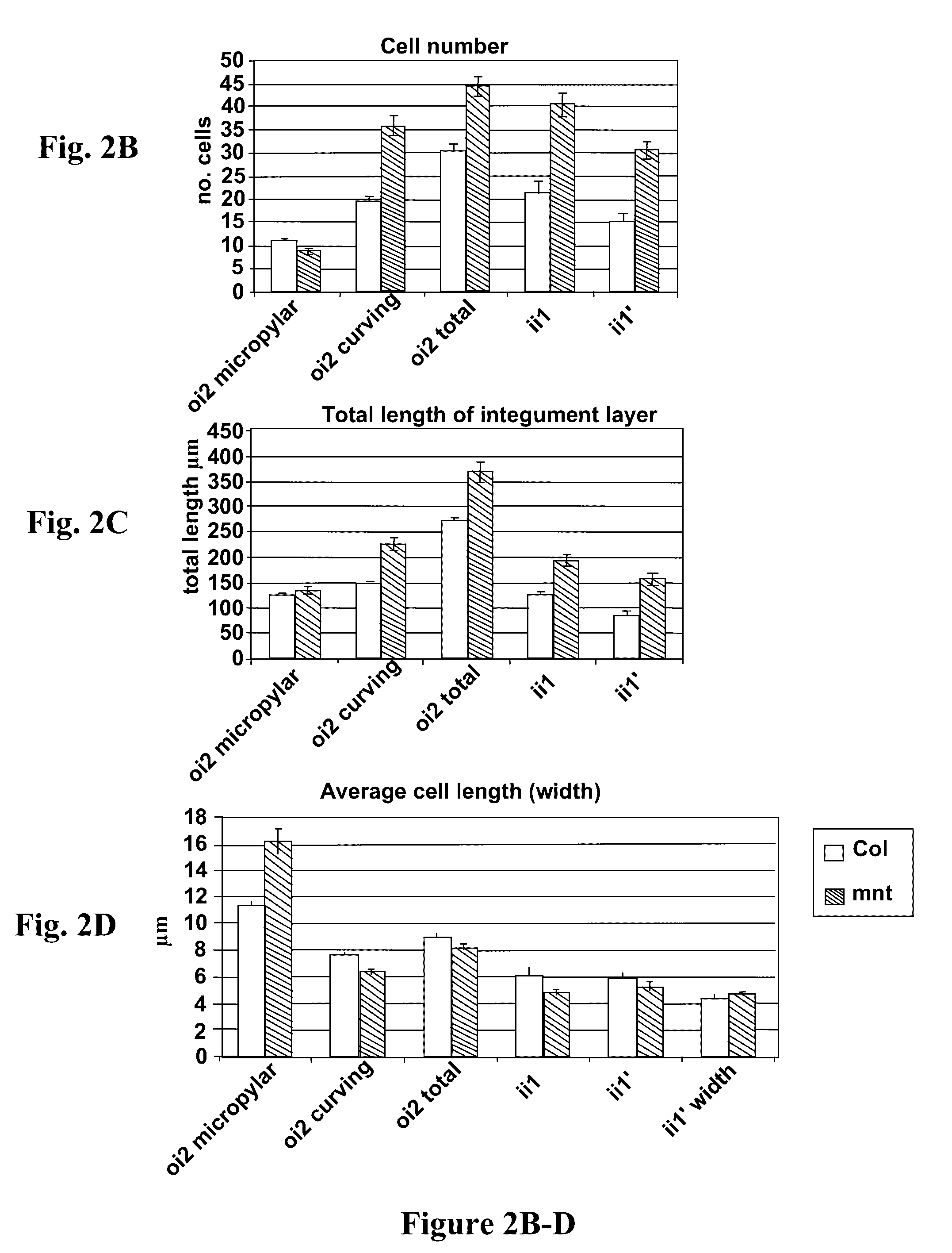 Methods for modulating cell proliferation in the seed coat and/or integument