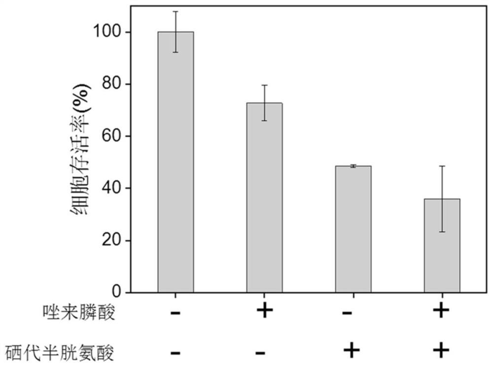 Application of combination of zoledronic acid and organic selenium compound in the preparation of antitumor drugs