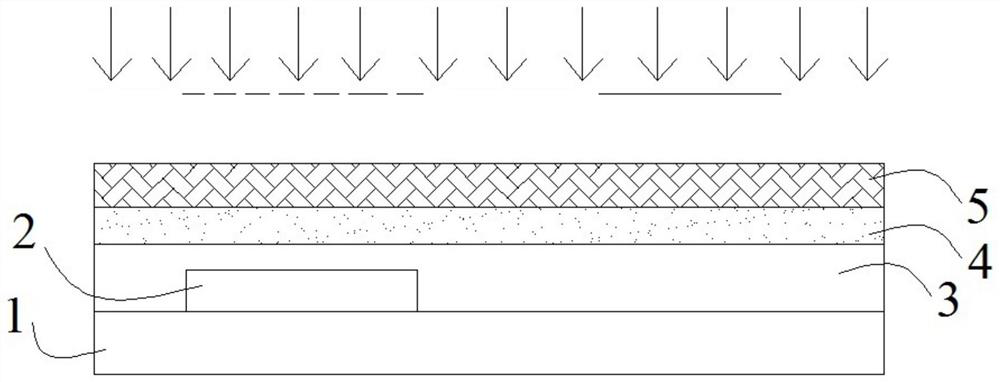 Display substrate, display device, and method for manufacturing display substrate