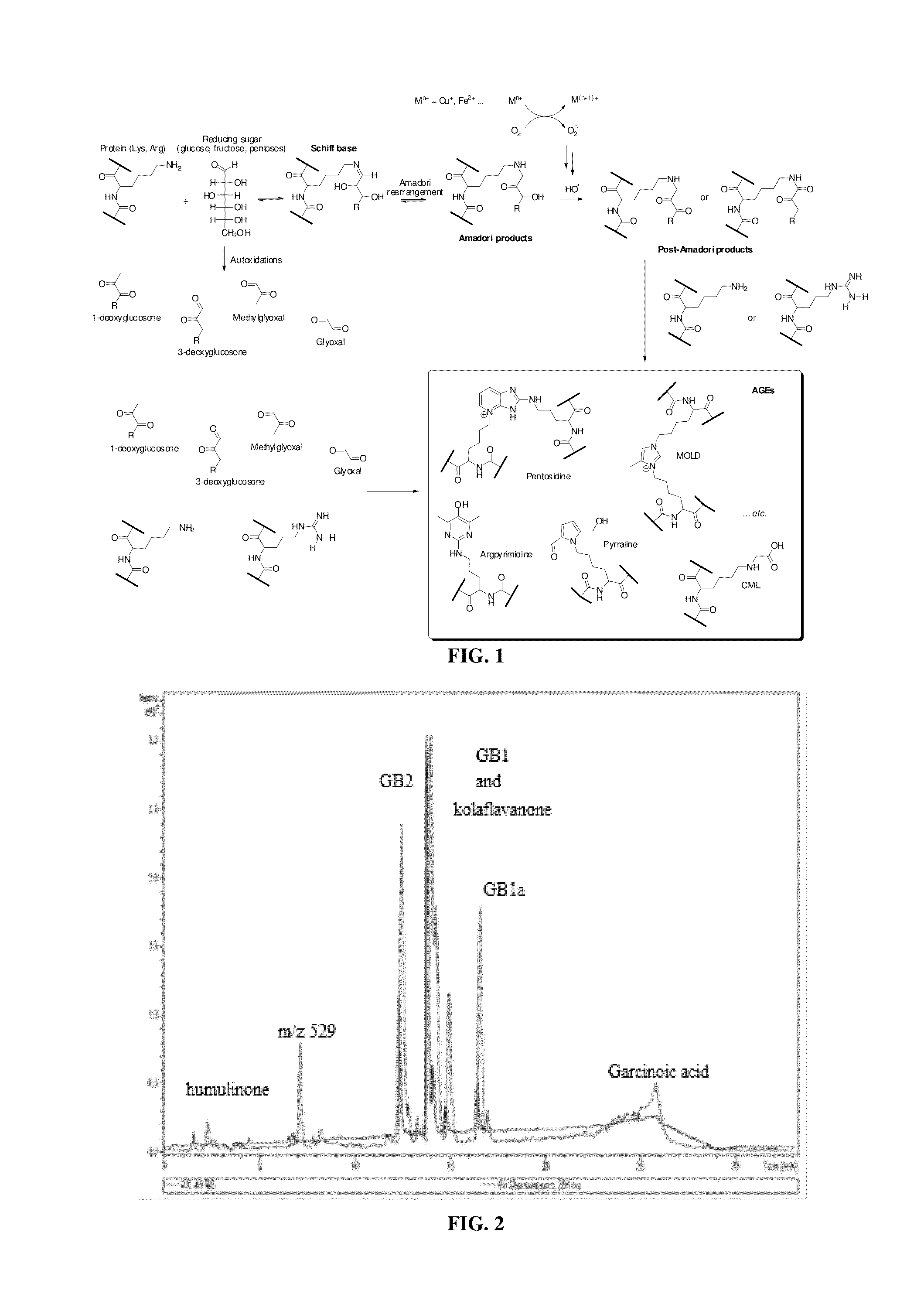 Anti-glycation agent comprising a garcinia kola extract or fraction