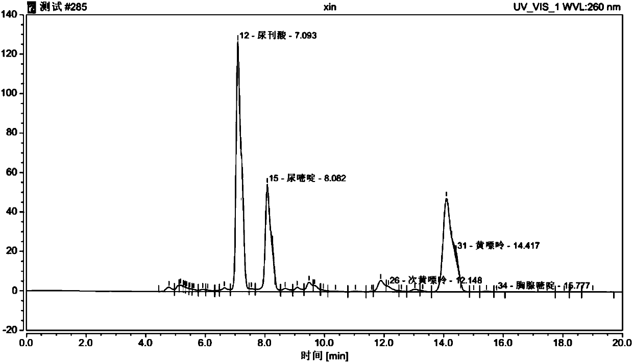 Rabbit skin extract as well as preparation method and application thereof