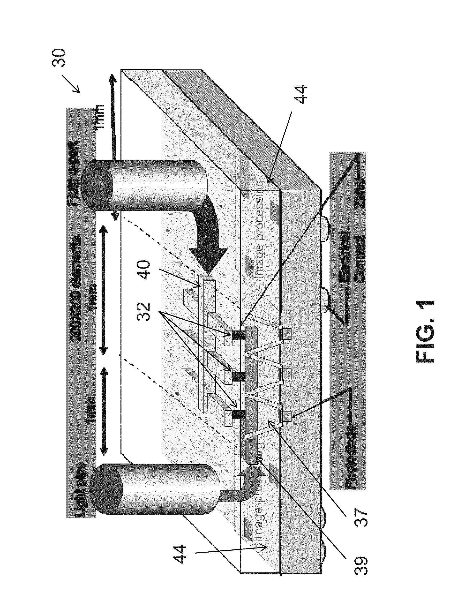 Optics collection and detection system and method