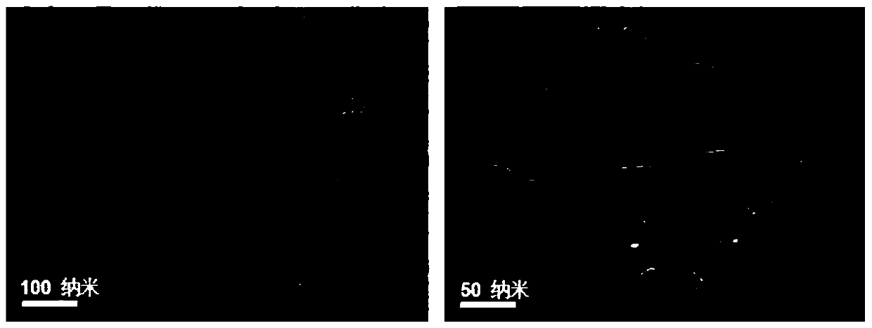 Method for preparing two-dimensional locally-oxidized transition metal fluoride catalyst through rapid heating