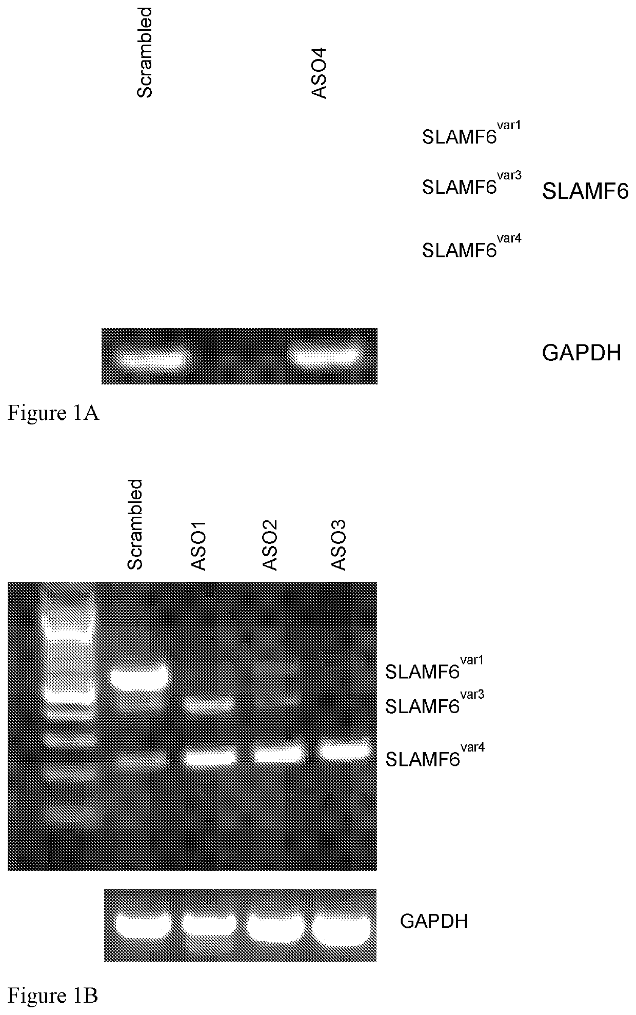 Nucleic acid agents modulating slamf6 isoforms