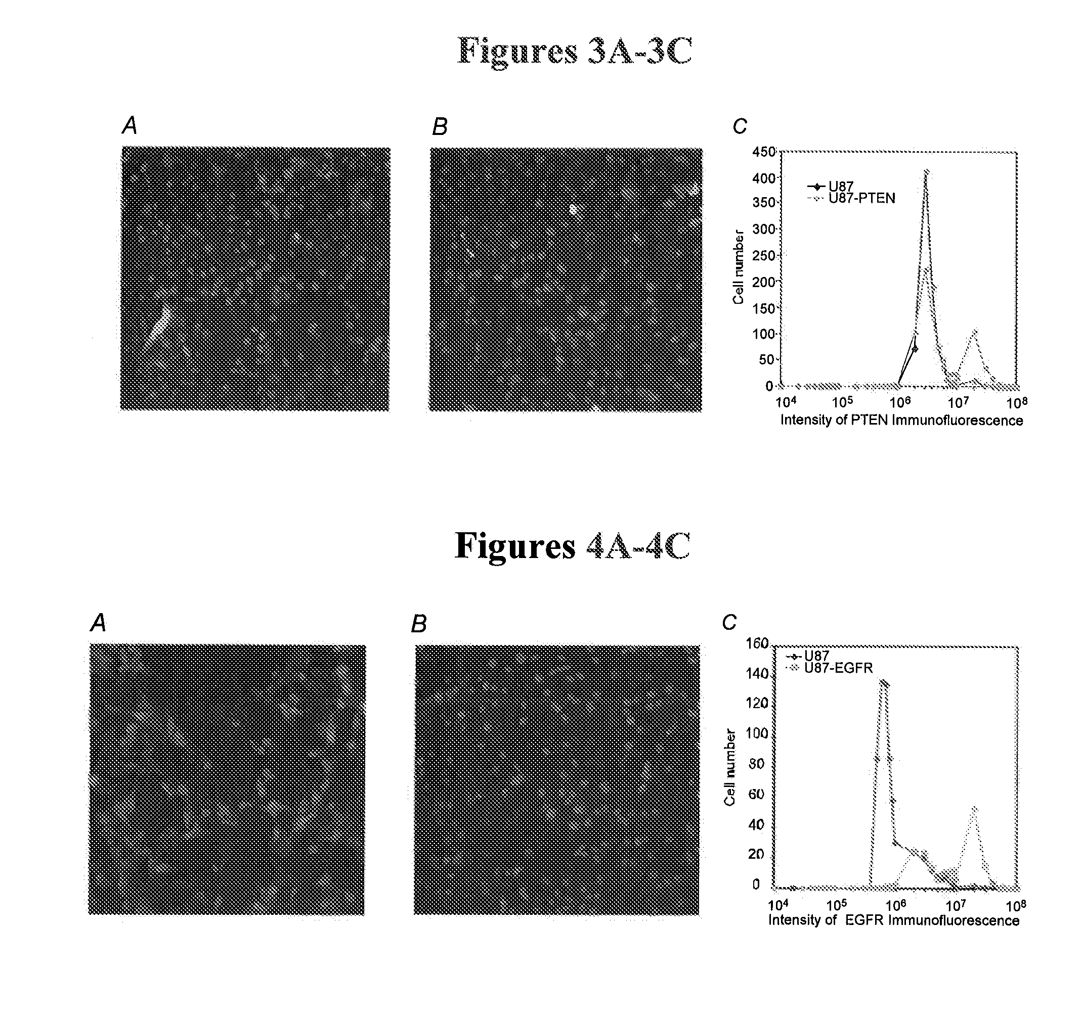 Microfluidic imaging cytometry