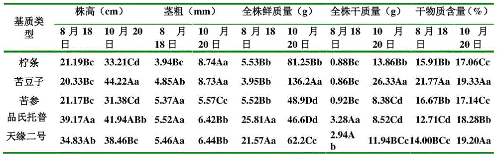 Method for producing vegetable culture medium and seedling culture medium by means of sophora alopecuroide