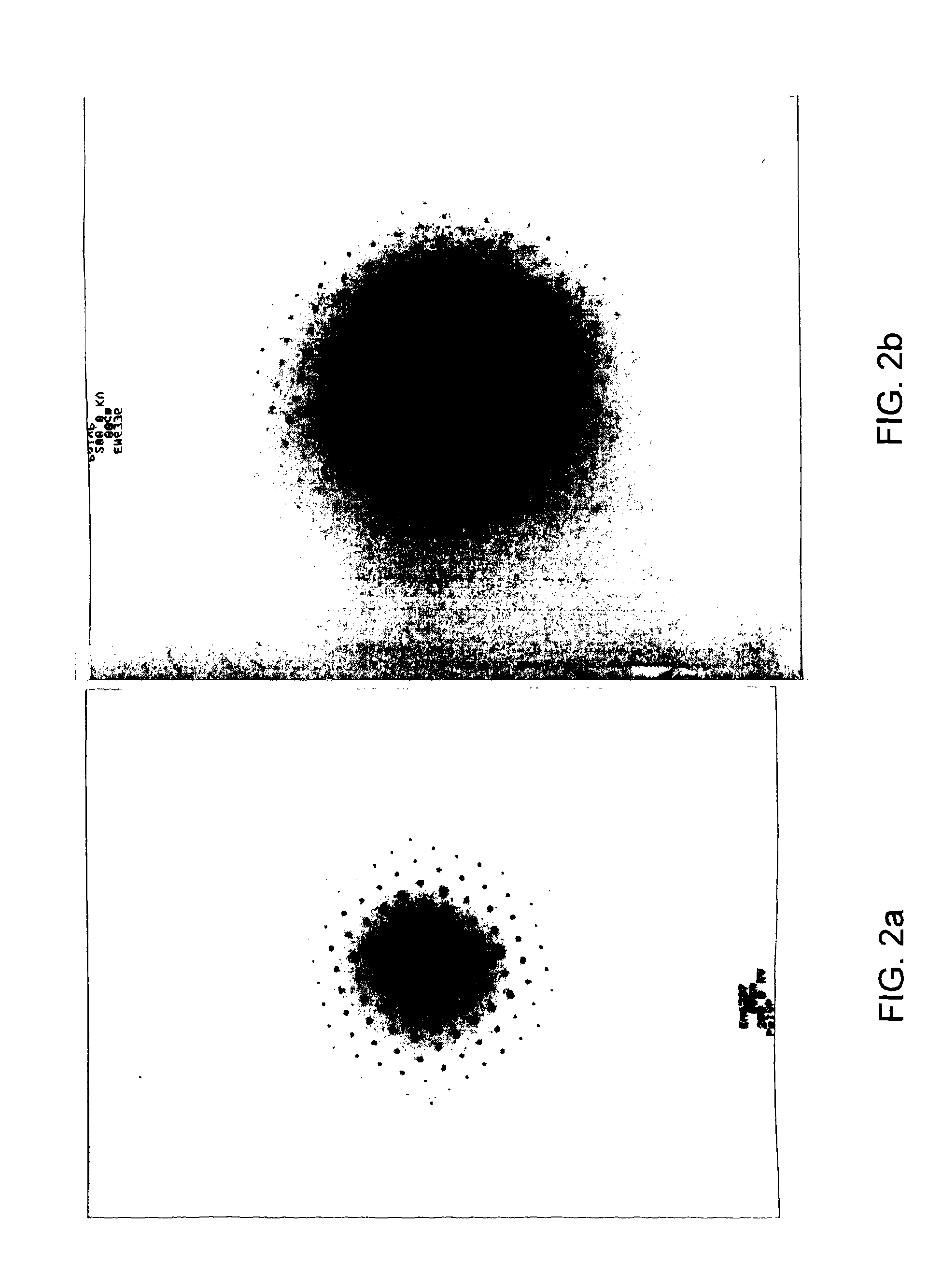 Silicon phosphate and membrane comprising the same