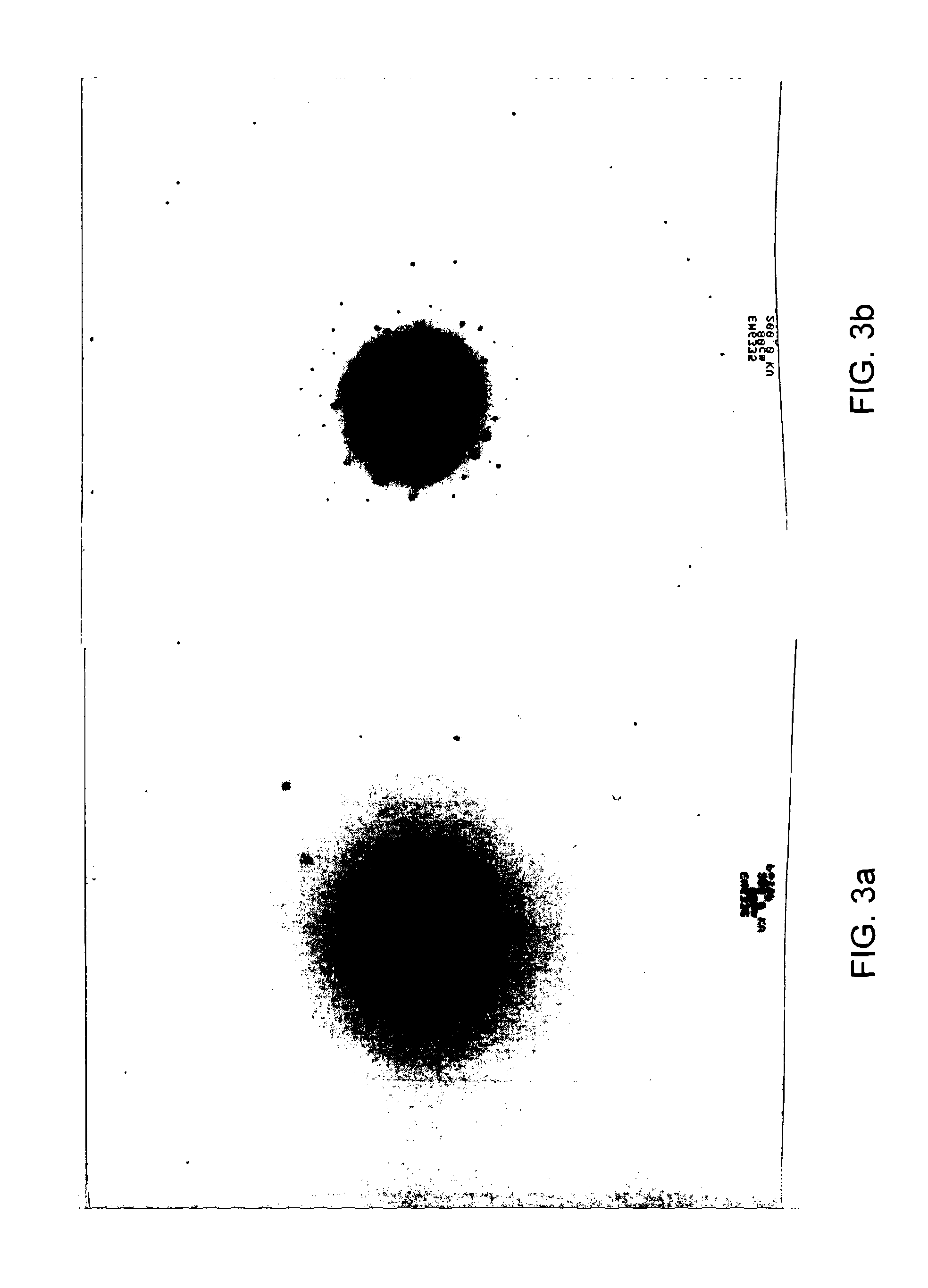 Silicon phosphate and membrane comprising the same