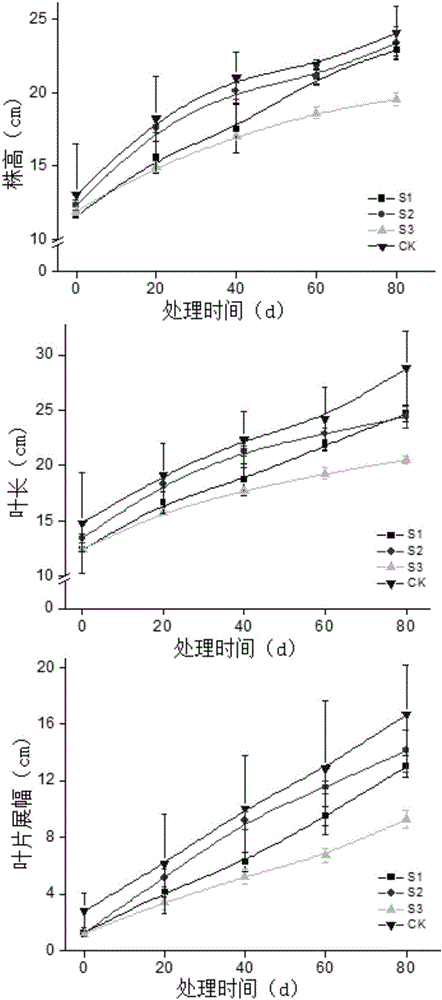 Method for regulating Chinese orchid plant type through uniconazole