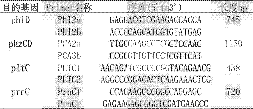 Pseudomonas choloeaphtis and application