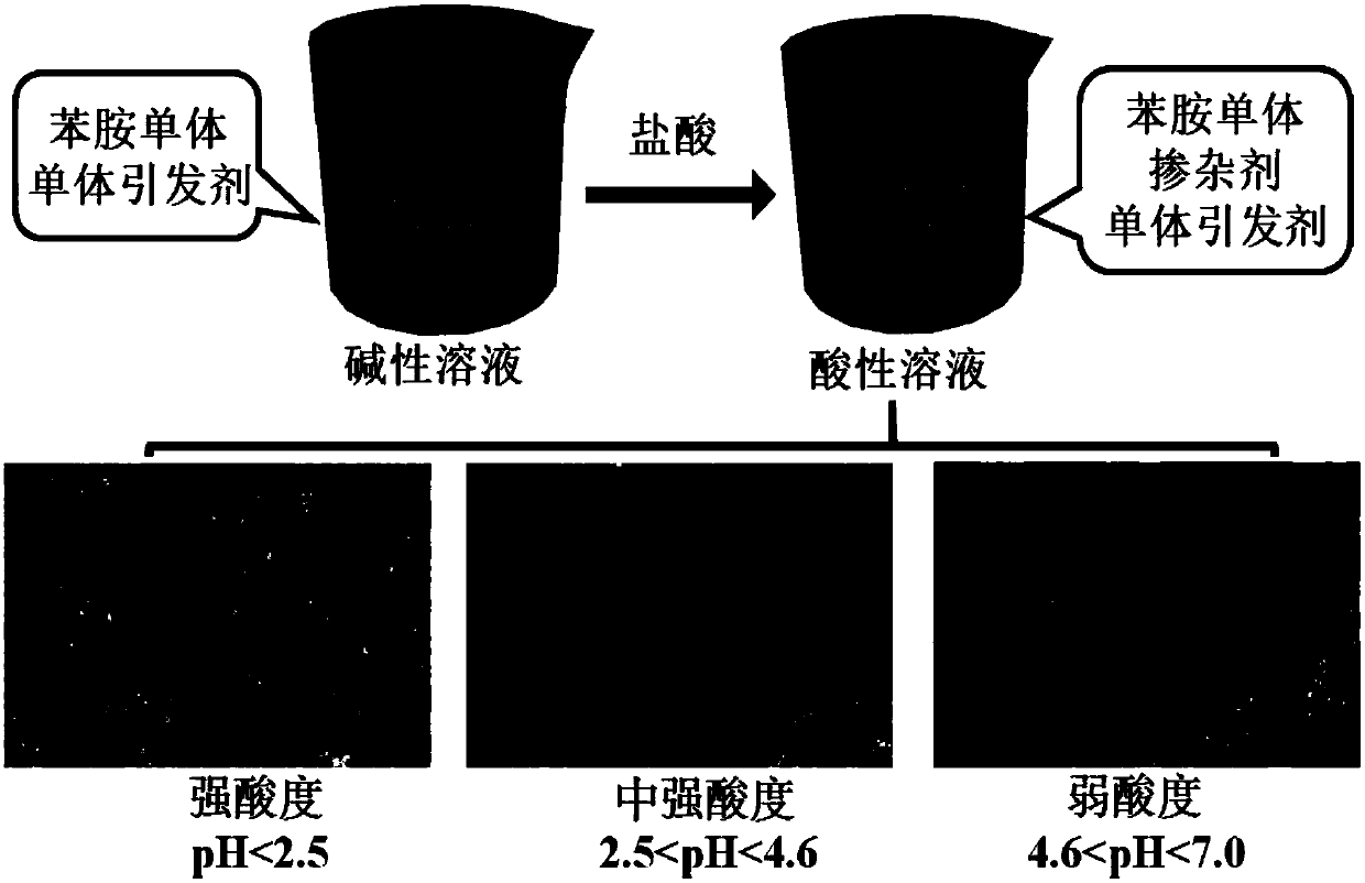 A kind of preparation method of nanostructured polyaniline