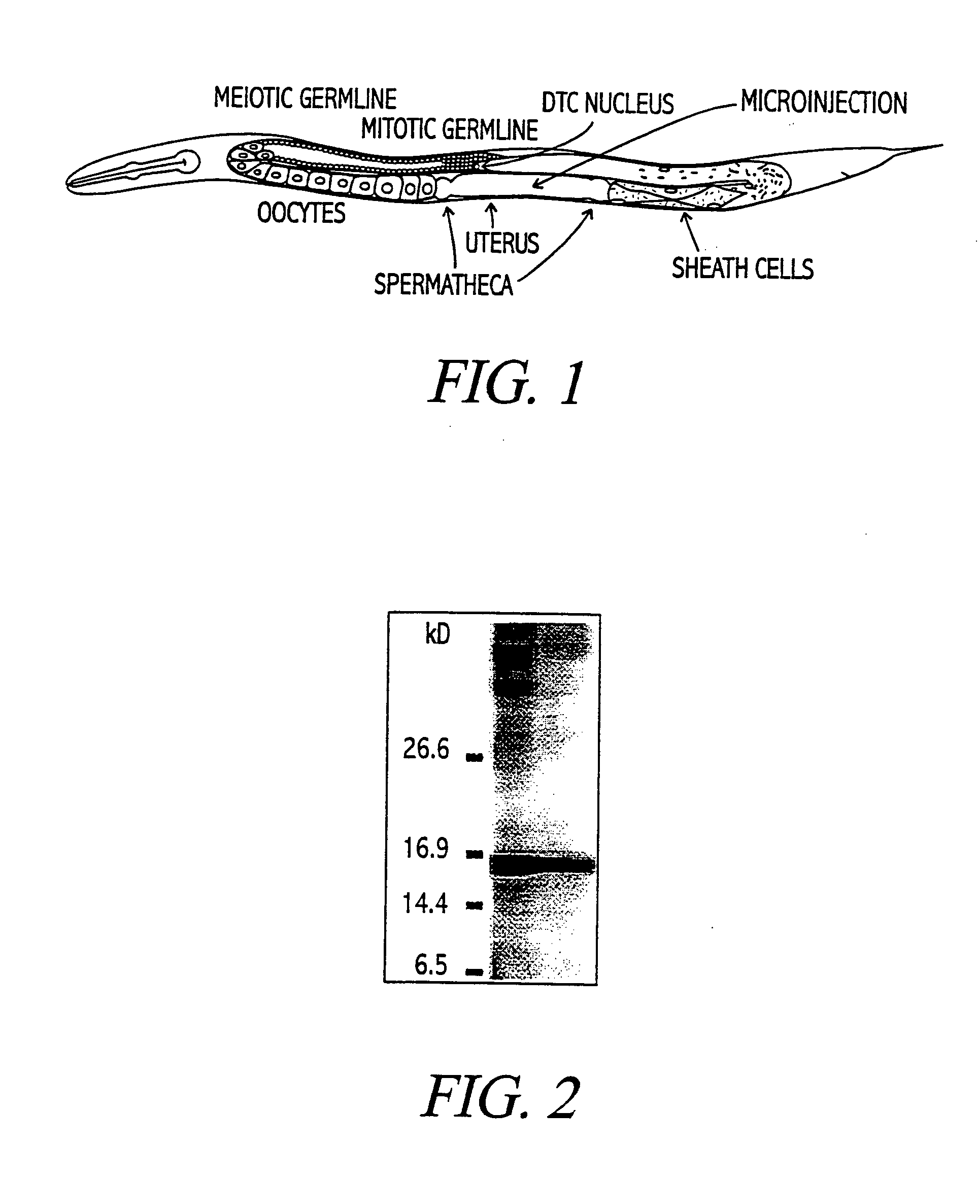 Compositions and methods of nematode control