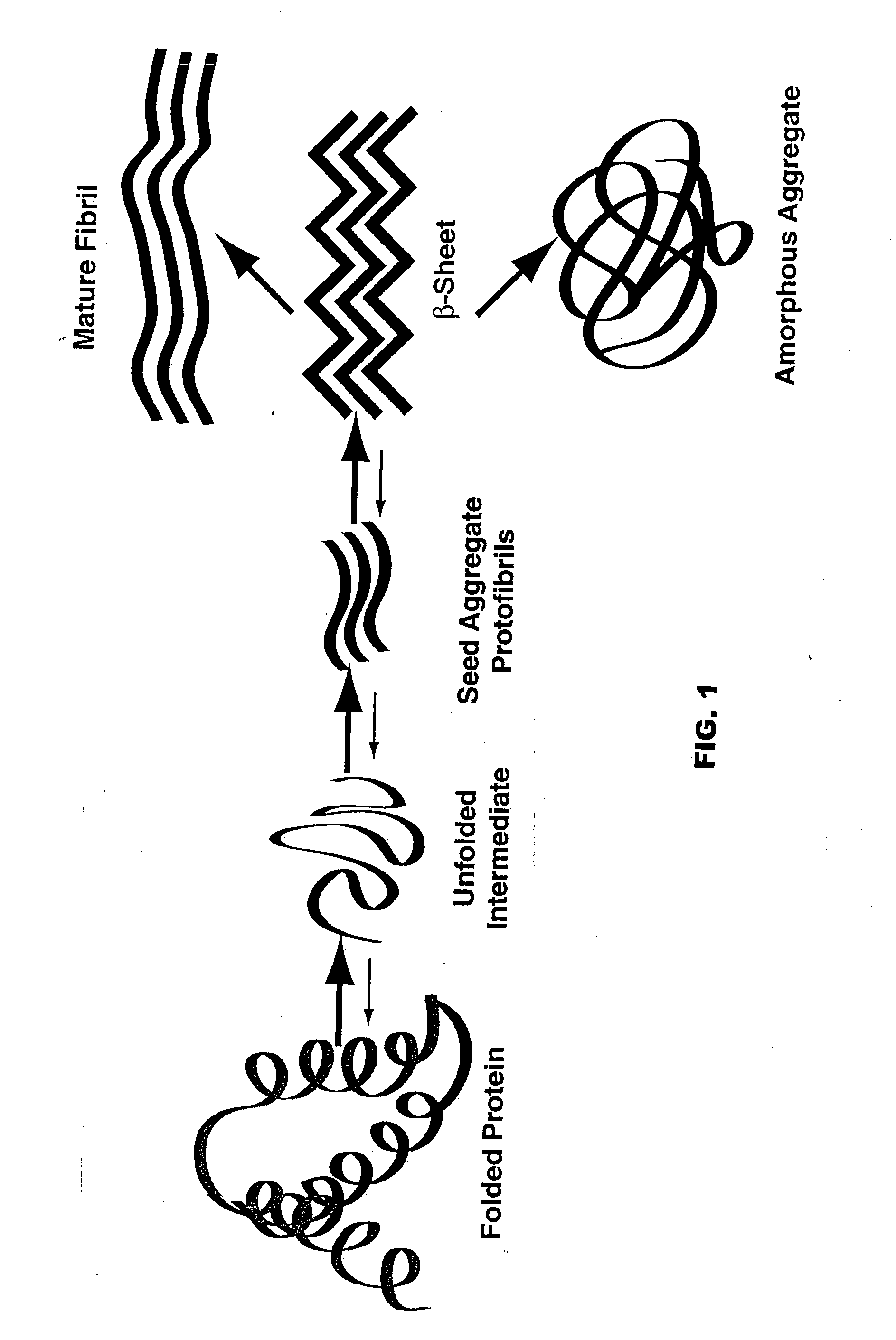 Neurodegenerative protein aggregation inhibition methods and compounds