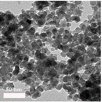 Preparation method of anatase nano-titanium dioxide powder modified via codoping of iron element with other two non-metallic elements