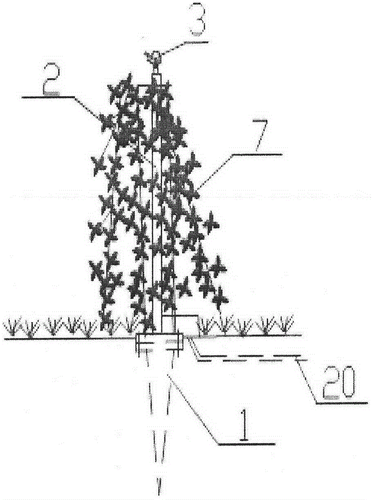 Irrigation apparatus of garden green land
