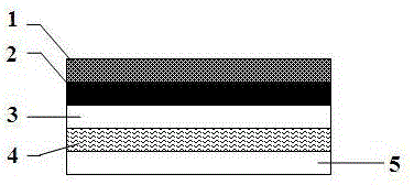 Transparent hidden holographic identification and manufacturing method thereof
