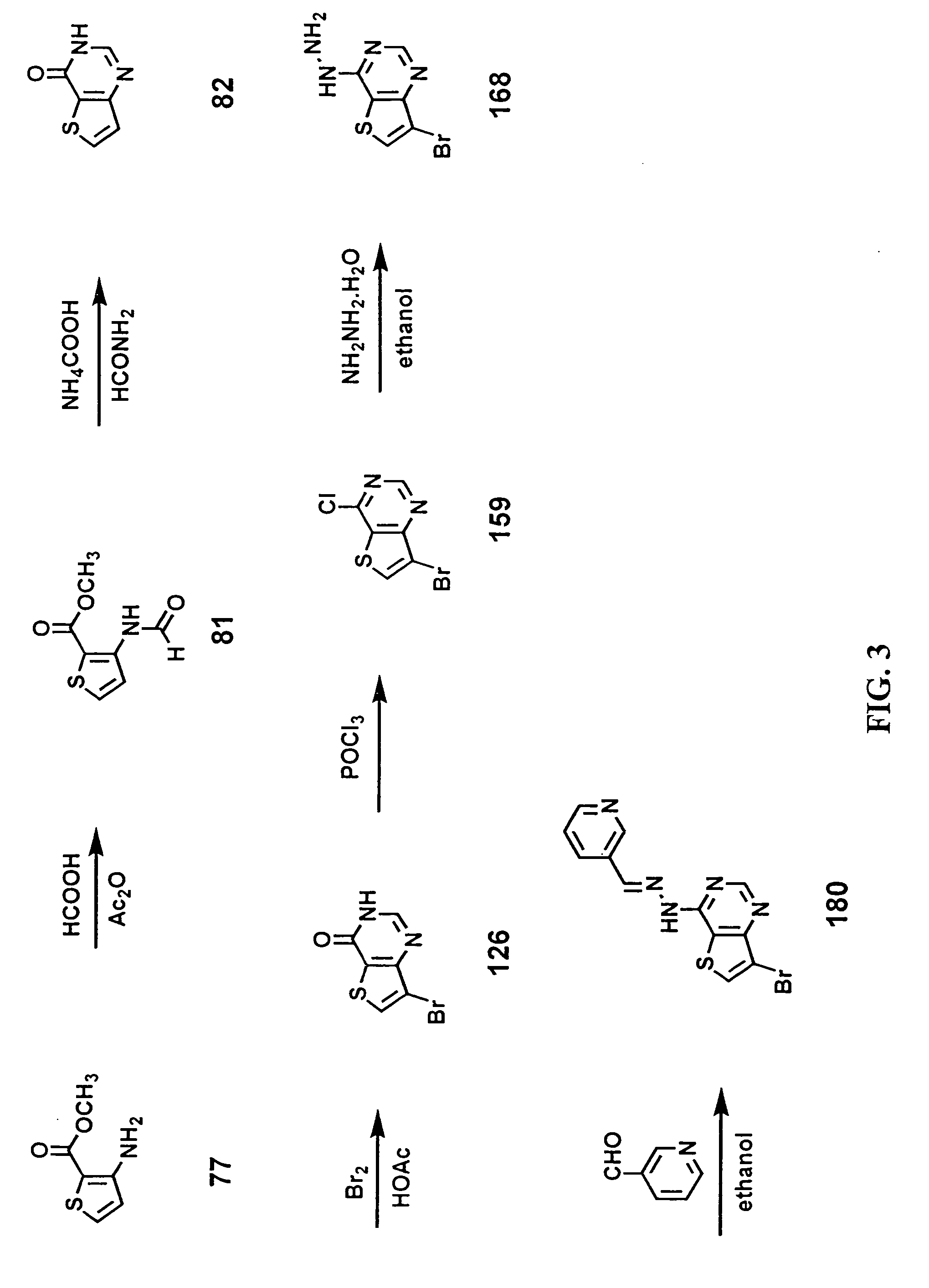 Thienopyrimidine-based inhibitors of the src family