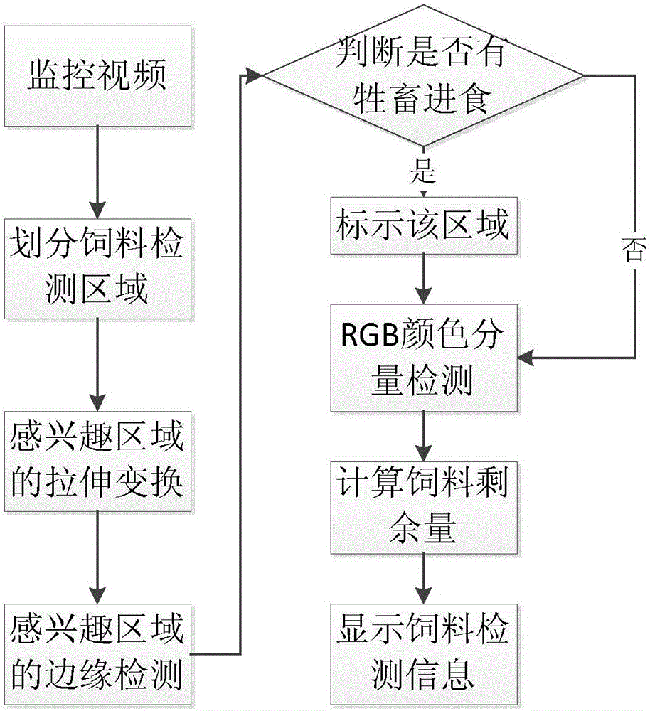 Forage Feed Detection System and Method Based on Machine Vision