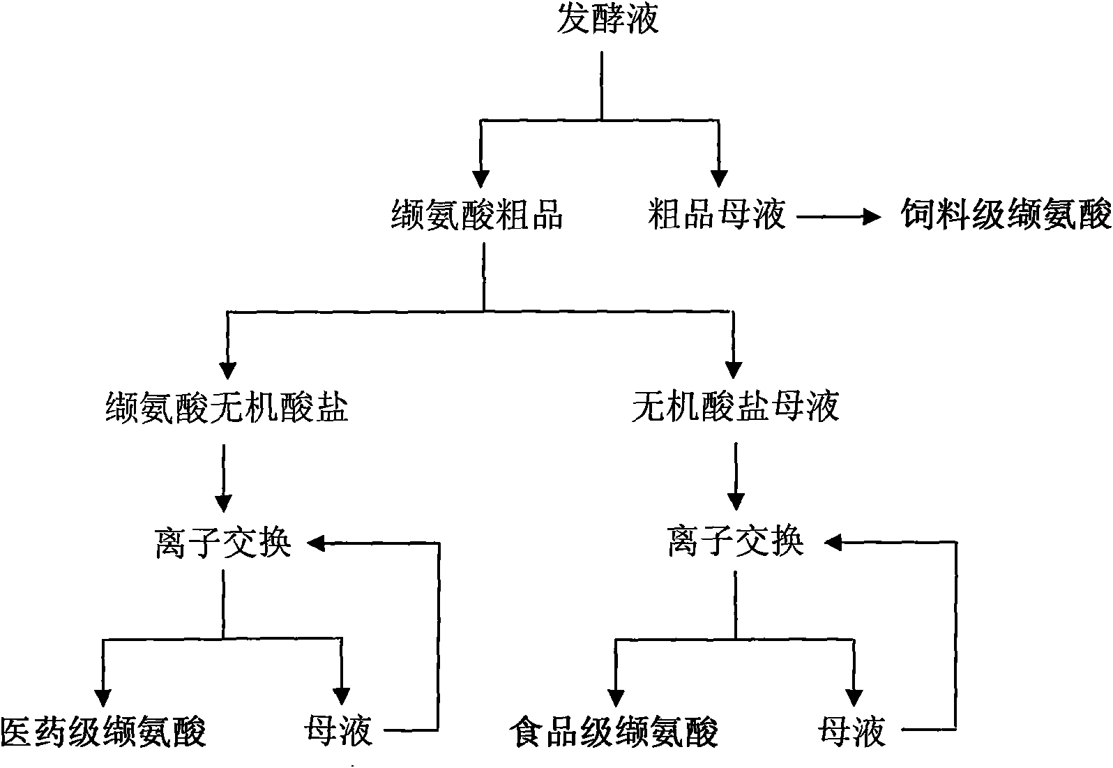 Novel process for producing valine