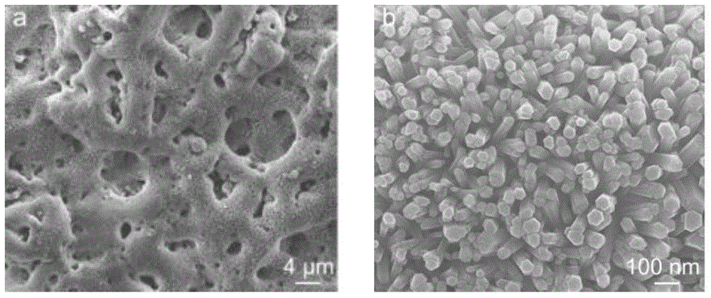 Titanium-based surface antibacterial and bone tissue regeneration induced functional coating as well as preparation method and application thereof