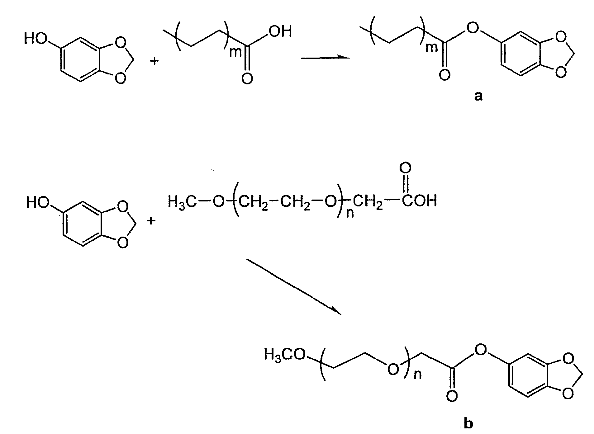 Sesamol Derivatives as Novel Inhibitors of Arachidonic Acid Formation