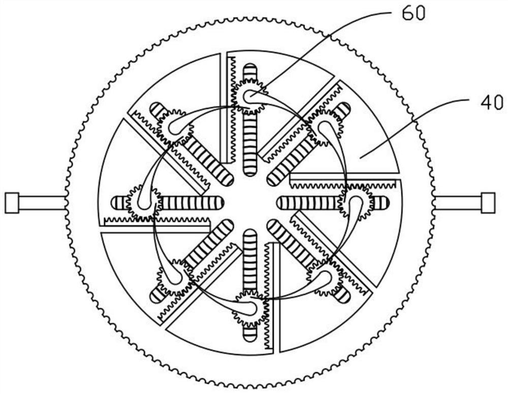 Sapling planting device