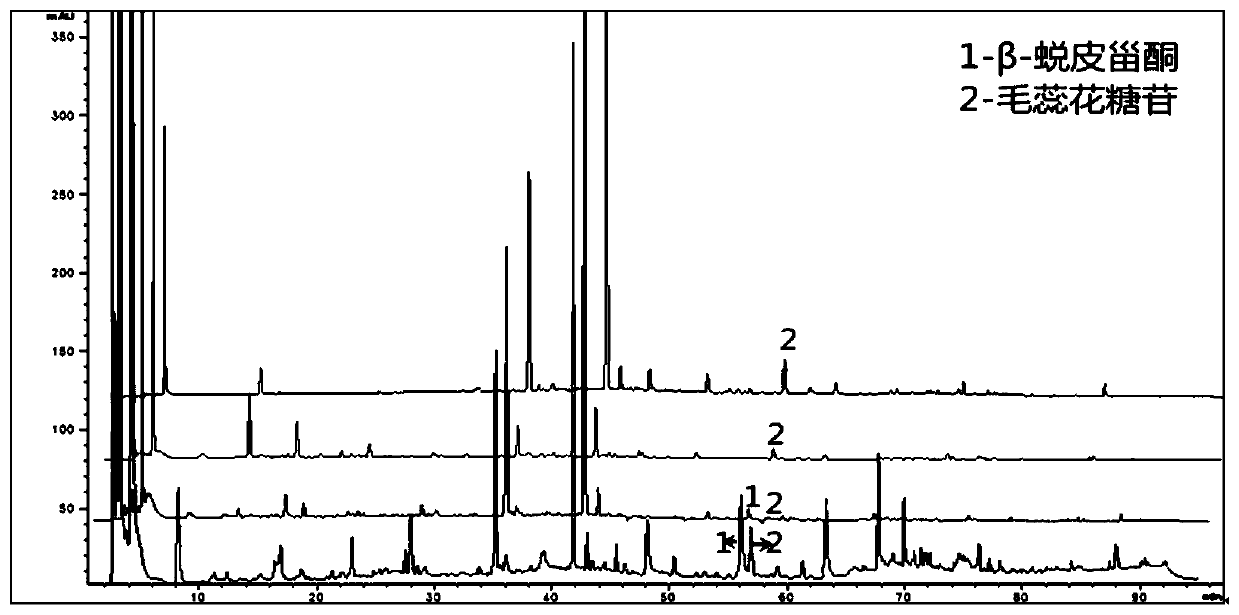 A kind of hplc fingerprint spectrum determination method of standard decoction of jade female decoction