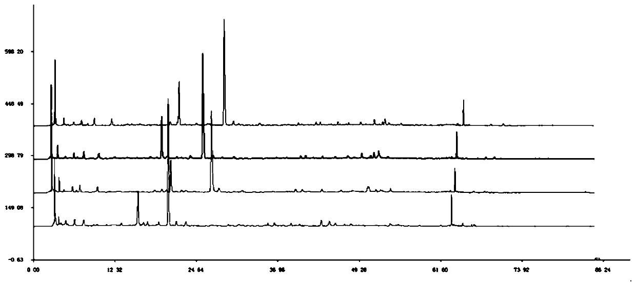 A kind of hplc fingerprint spectrum determination method of standard decoction of jade female decoction