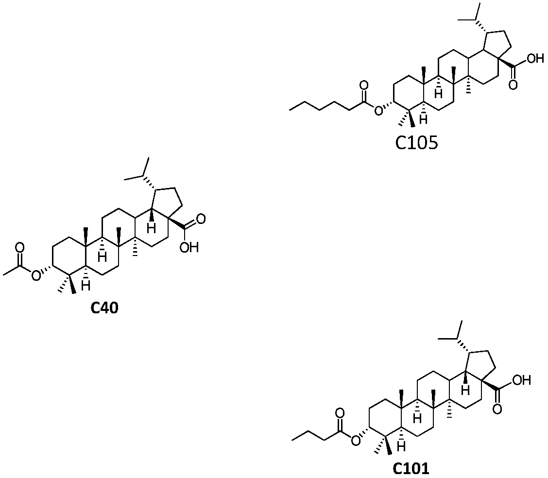 Pentacyclic triterpenoids, preparation method, pharmaceutical composition and use thereof