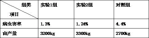 Chinese bulbous onion planting method