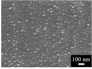 Large-area growing method for single crystal titanium dioxide nano rod and application of nano rod