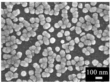 Large-area growing method for single crystal titanium dioxide nano rod and application of nano rod