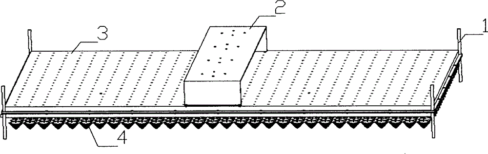 Rotary cleaning equipment for floating seedling trays