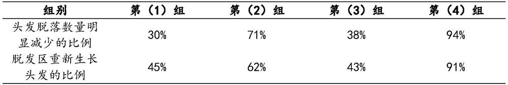 Application of ginsenoside composition in preparing medicine for preventing and treating hair loss by acting on hair follicle tissue