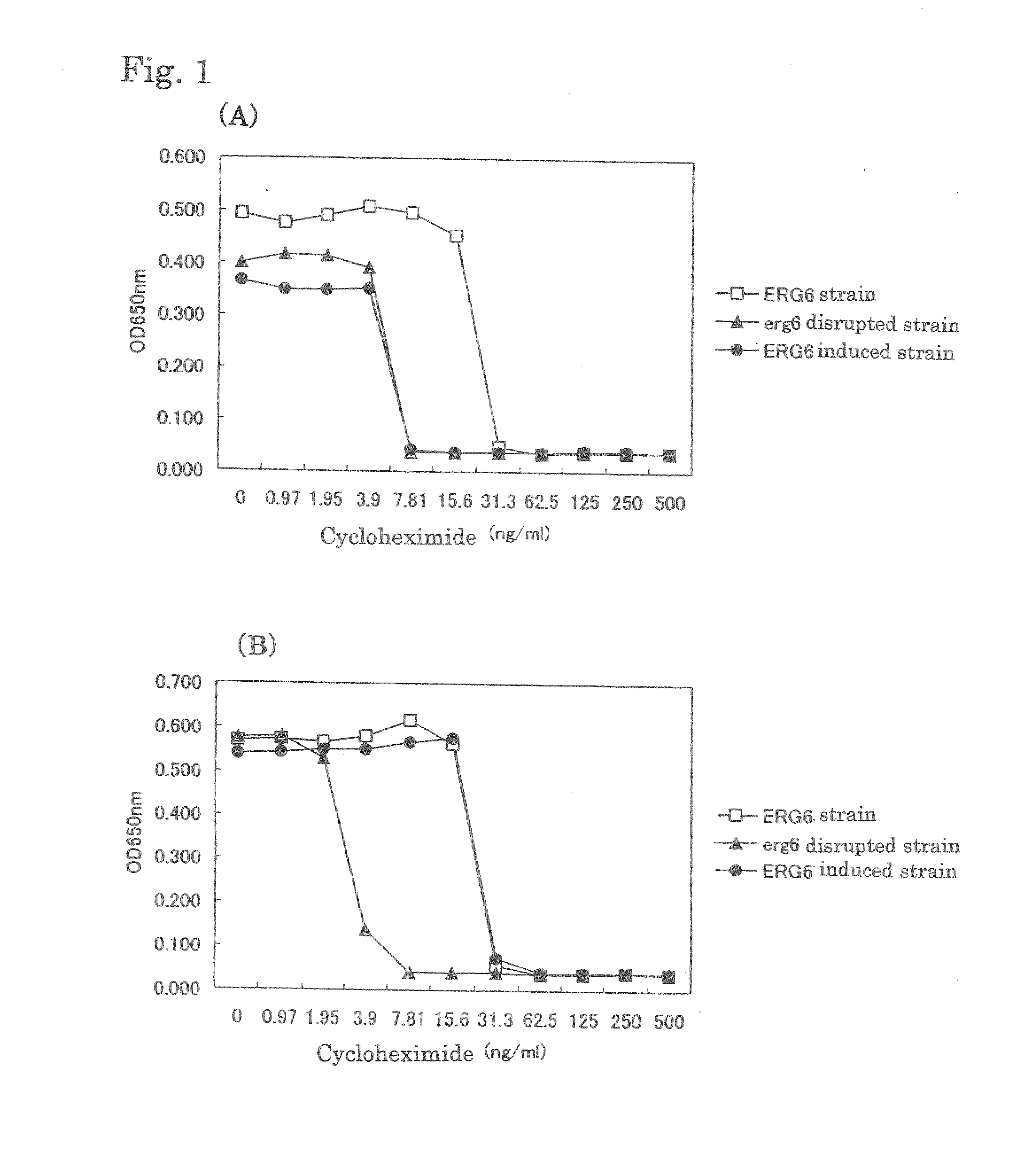 Method of Gene Screening With Yeast Having Ergosterol Synthase Undergoing Inducible Expression