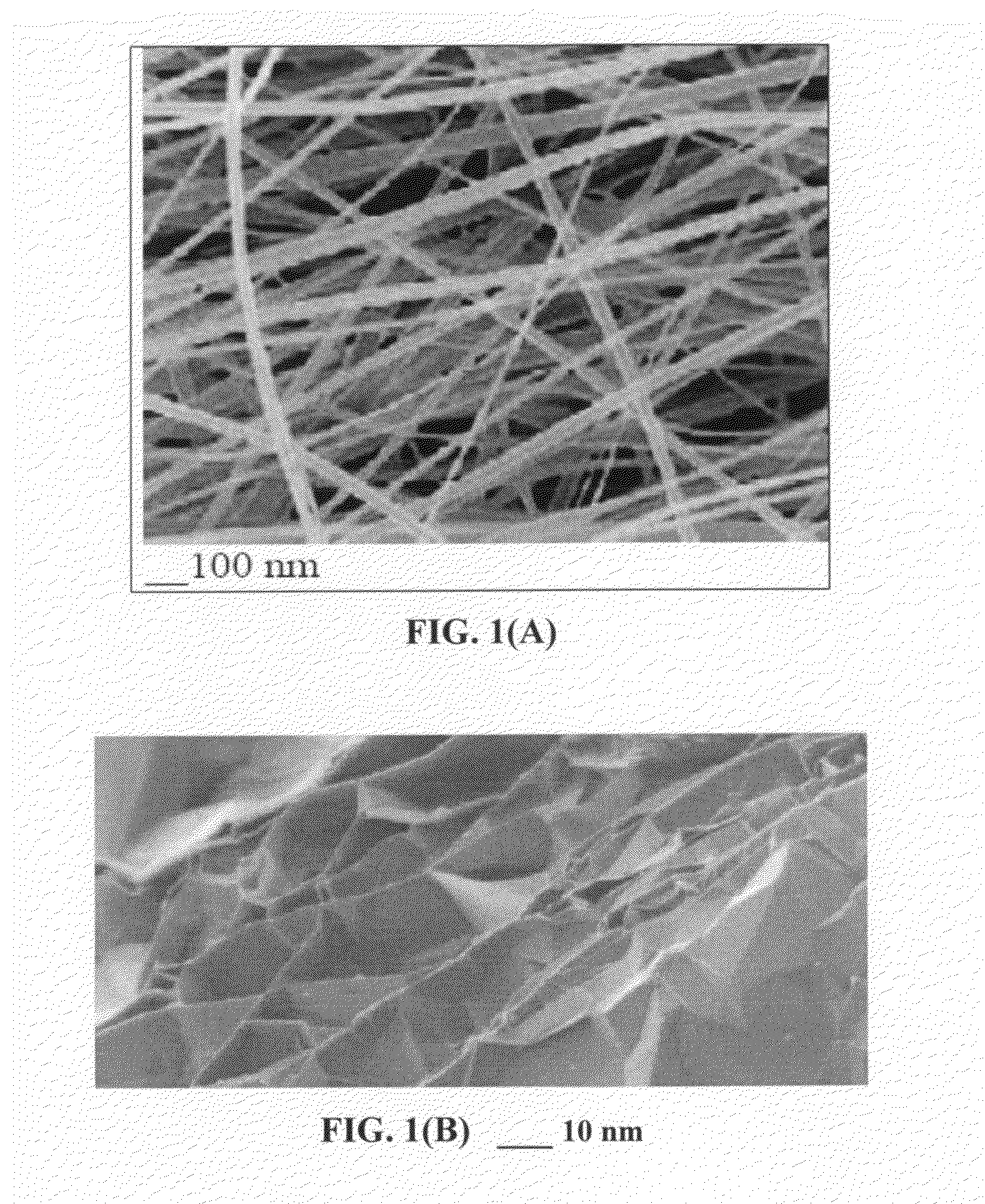 Lithium metal-sulfur and lithium ion-sulfur secondary batteries containing a nano-structured cathode and processes for producing same