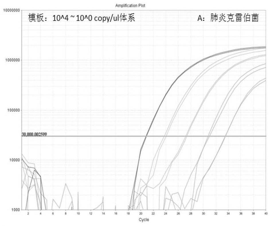 Multiplex fluorescent quantitative probe method PCR (Polymerase Chain Reaction) kit for detecting urethral pathogen infection