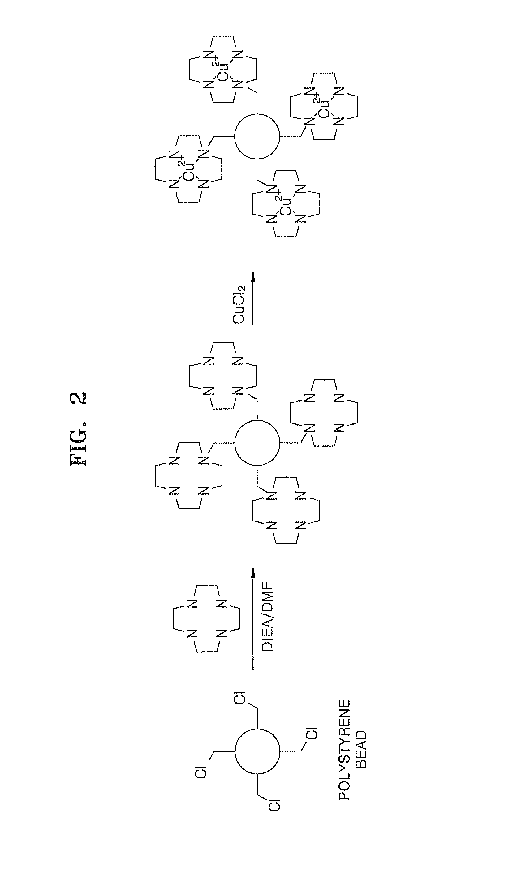 Cell lysis method by immobilized metal-ligand complex