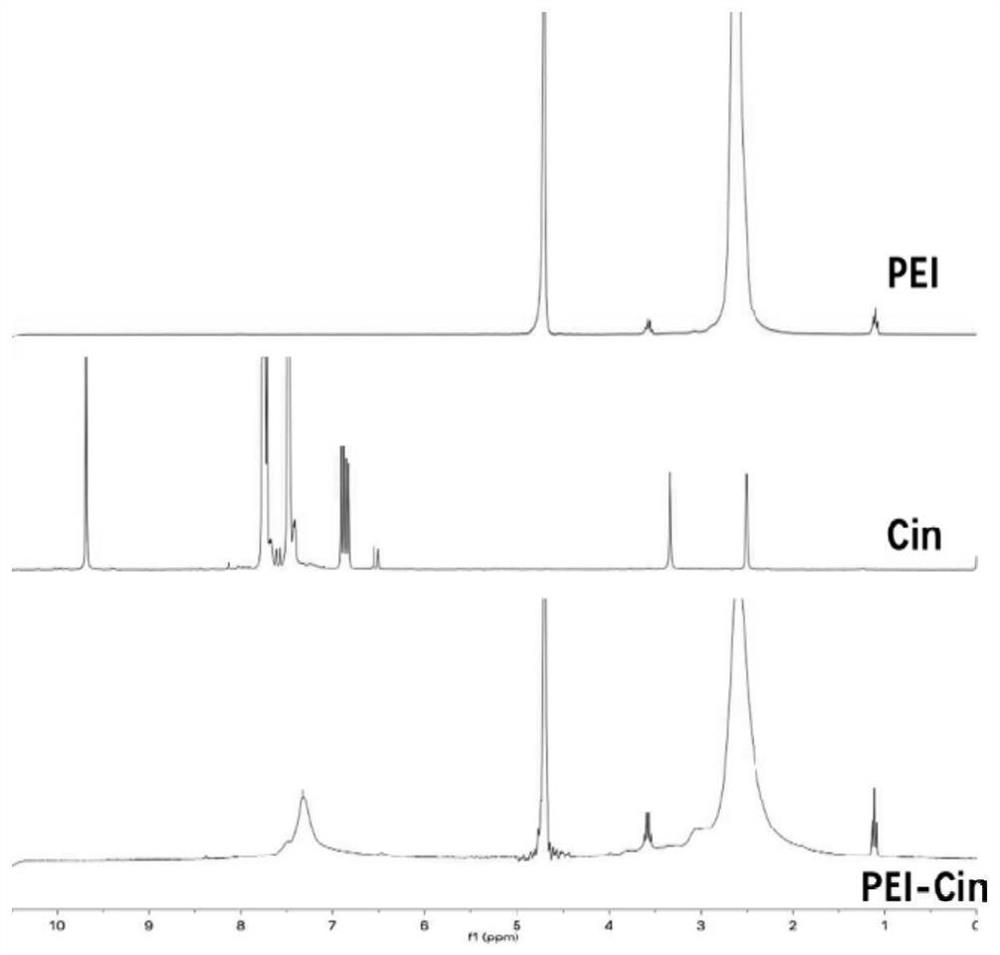 Polyethyleneimine derivative and application thereof in preparation of immunologic adjuvant