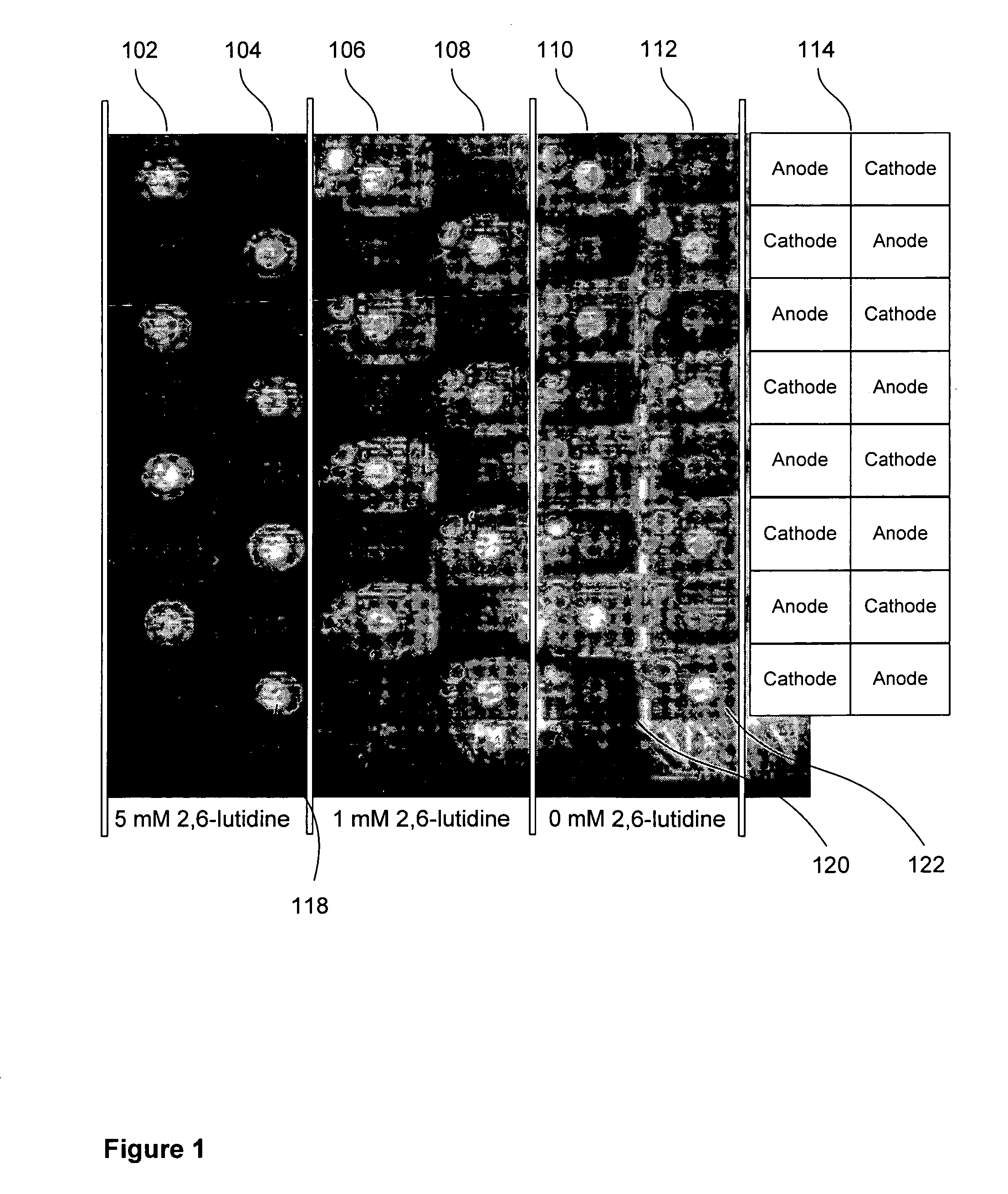 Electrochemical deblocking solution for electrochemical oligomer synthesis on an electrode array