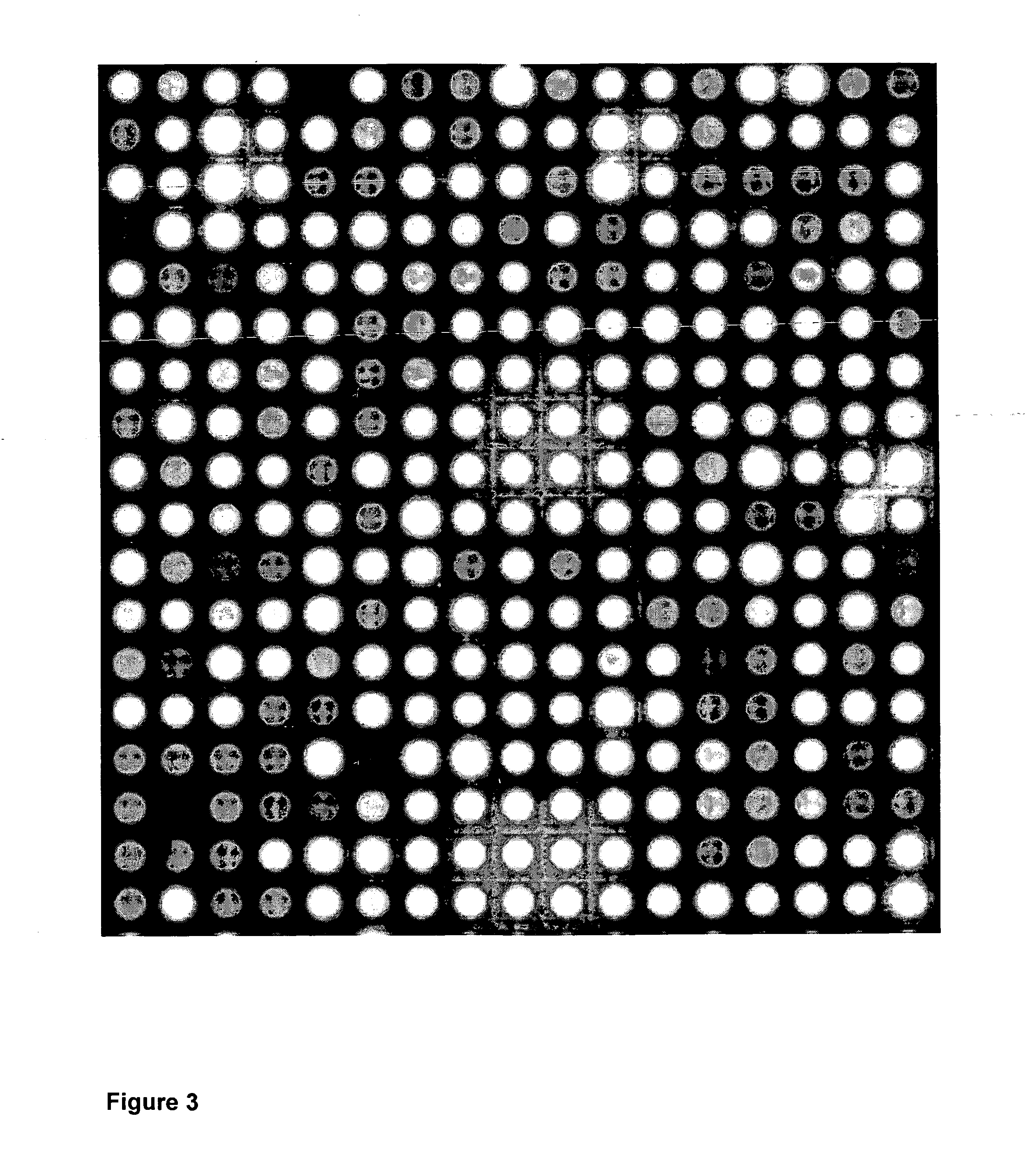 Electrochemical deblocking solution for electrochemical oligomer synthesis on an electrode array