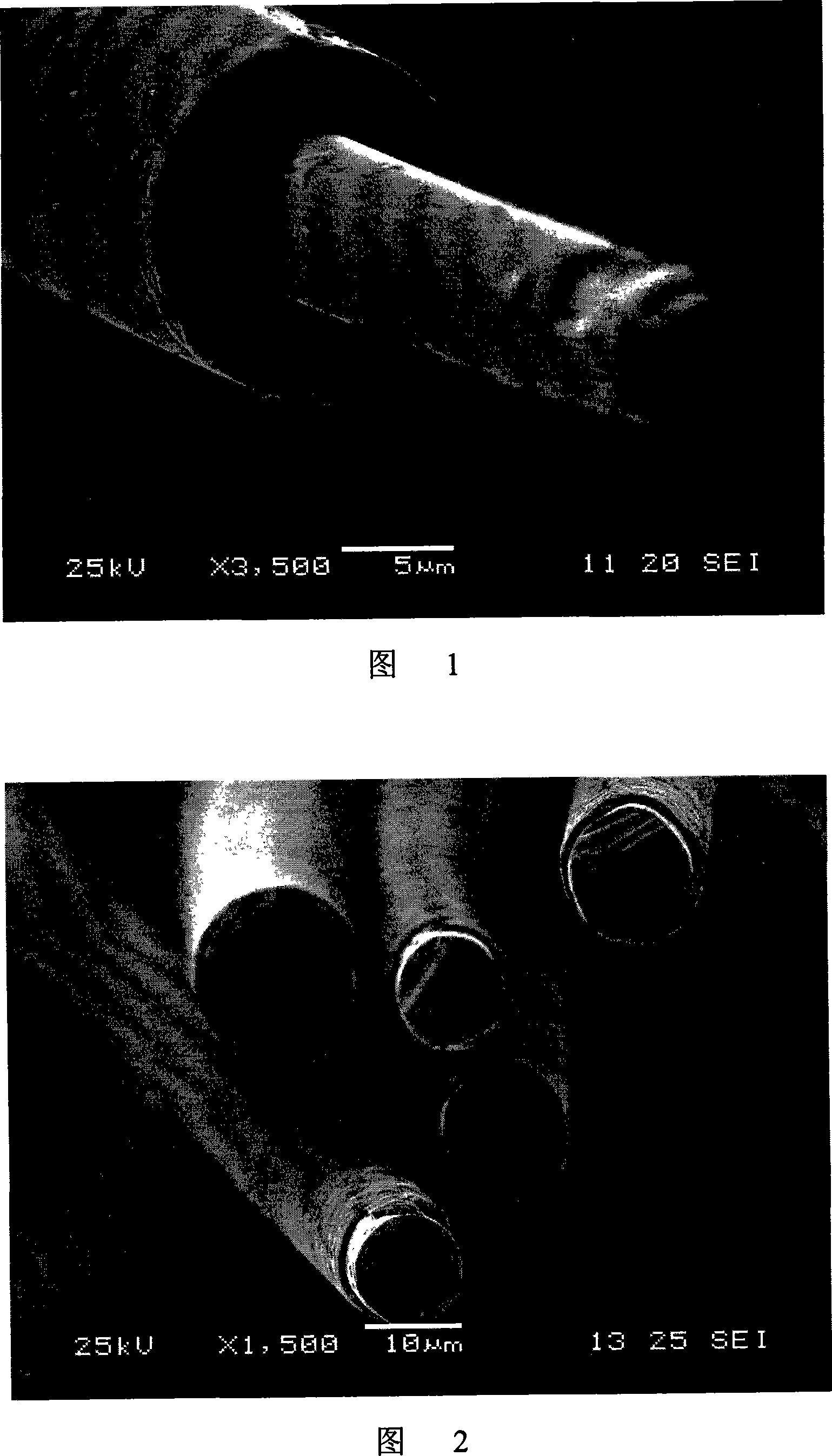 Core-skin structure micropore silicon carbide fiber and method for producing the same
