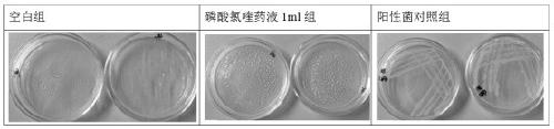 A kind of chloroquine antibacterial disinfectant and application thereof