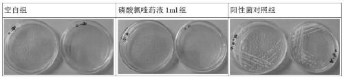 A kind of chloroquine antibacterial disinfectant and application thereof