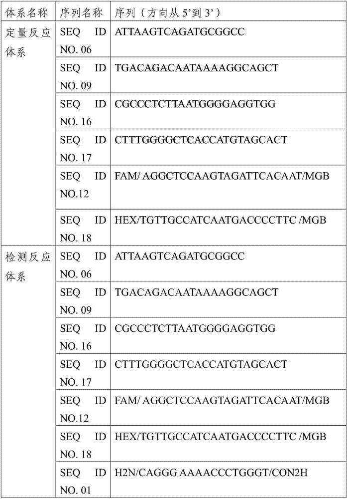 Primers, probes and kit for detecting C-kit gene K642E mutation site