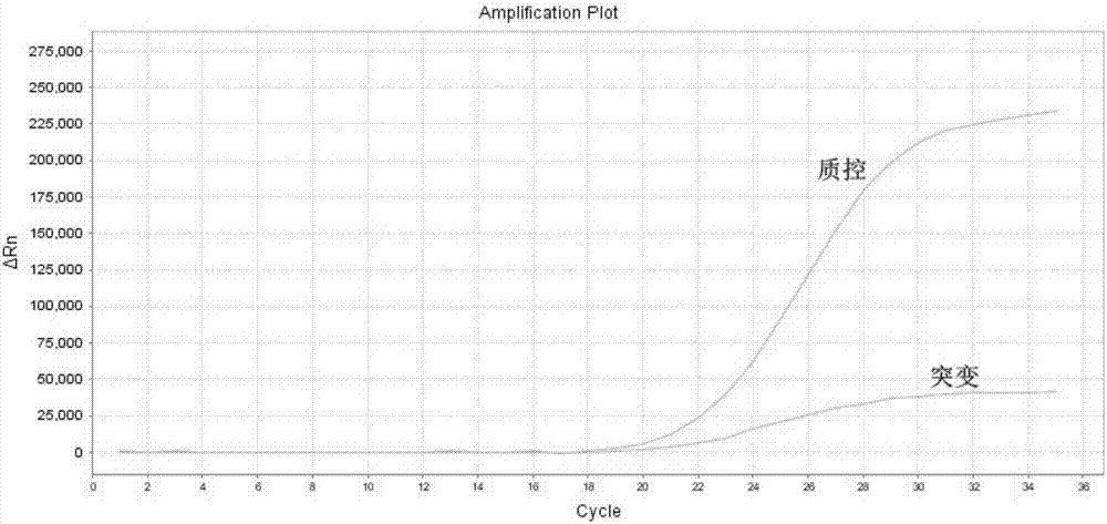 Primers, probes and kit for detecting C-kit gene K642E mutation site