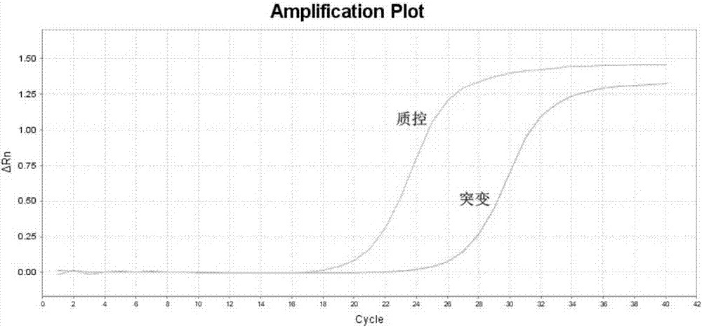 Primers, probes and kit for detecting C-kit gene K642E mutation site