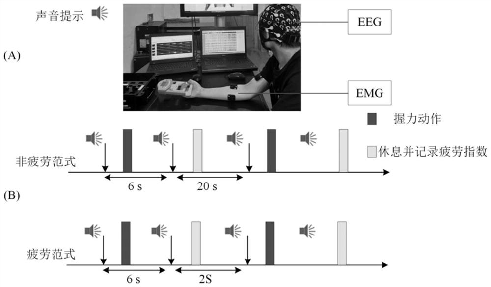 Brain muscle function network motion fatigue detection method based on symbolic transfer entropy and graph theory