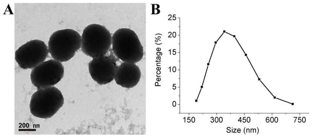 Cinobufagin-loaded PDA nano-drug as well as preparation method and application thereof