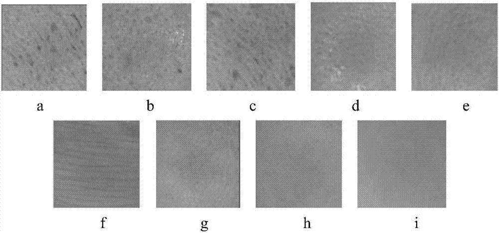 An image RGB color space-based skin surface roughness detection method